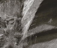 Running Man, Galisteo Basin, New Mexico